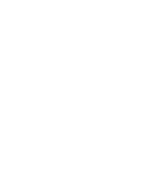 Everest Digital Works